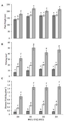 Establishment, Growth, and Yield Potential of the Perennial Grass Miscanthus × Giganteus on Degraded Coal Mine Soils